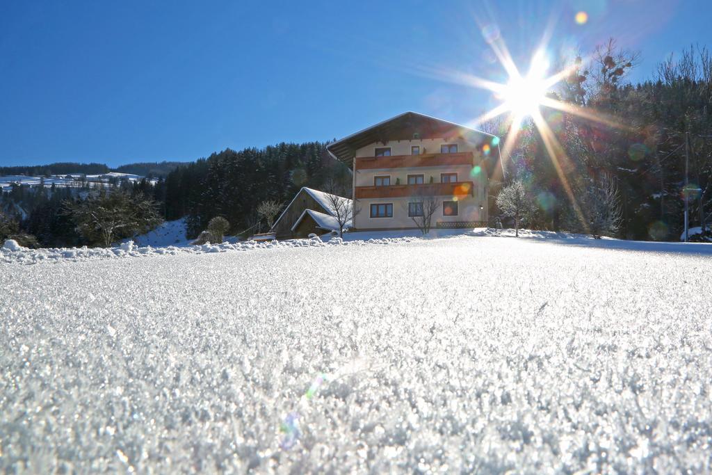 Rosspointnerhof Hotel Haus im Ennstal Bagian luar foto
